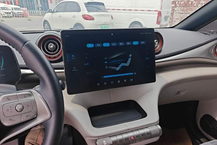 Used BYD Dolphin 2021 405 km Fashion Edition Audio And AC Panel
