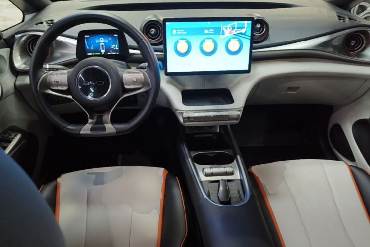 Used BYD Dolphin 2021 405 km Fashion Edition Center Console