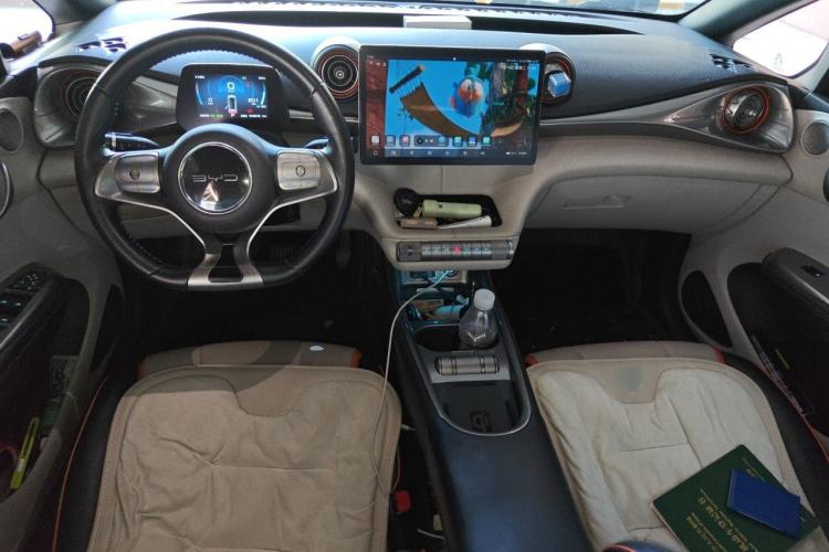 Used BYD Dolphin 2021 405 km Fashion Edition Center Console