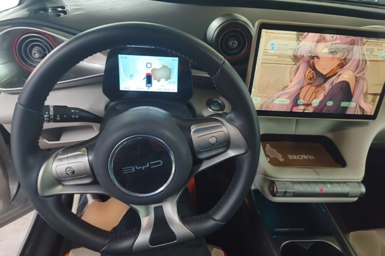 Used BYD Dolphin 2021 405 km Fashion Edition Center Console