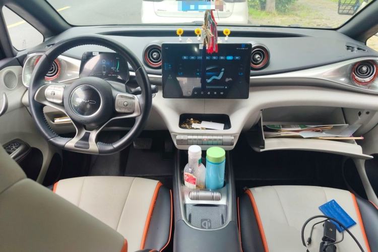 Used BYD Dolphin 2021 405 km Fashion Edition Center Console