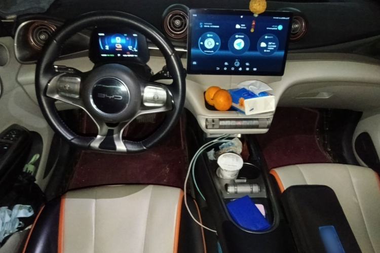 Used BYD Dolphin 2021 405 km Fashion Edition Center Console