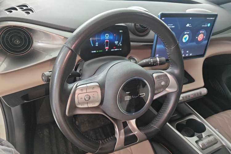 Used BYD Dolphin 2021 405 km Fashion Edition Center Console