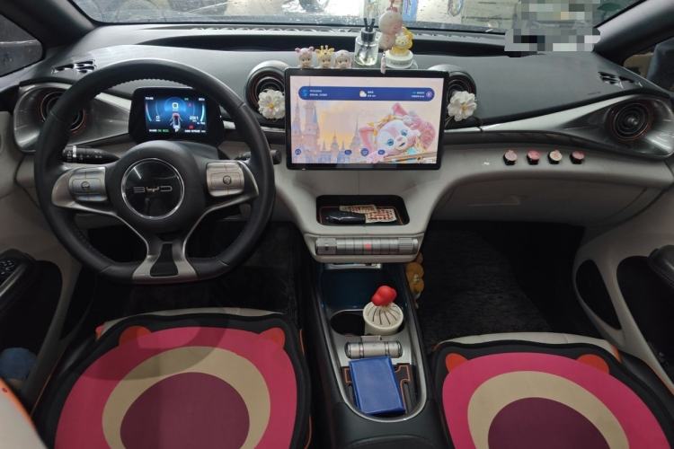 Used BYD Dolphin 2021 405 km Free Version Center Console