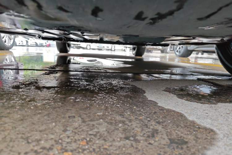 Used BYD Dolphin 2021 405 km Free Version Chassis Front