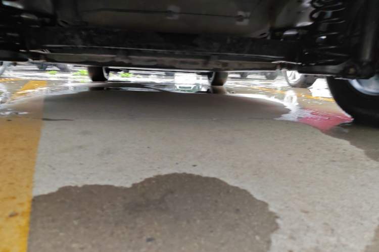 Used BYD Dolphin 2021 405 km Free Version Chassis Rear