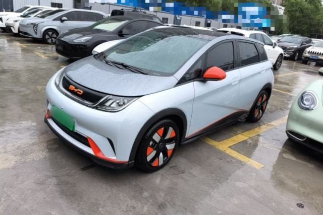 Used BYD Dolphin 2021 401km Knight Edition