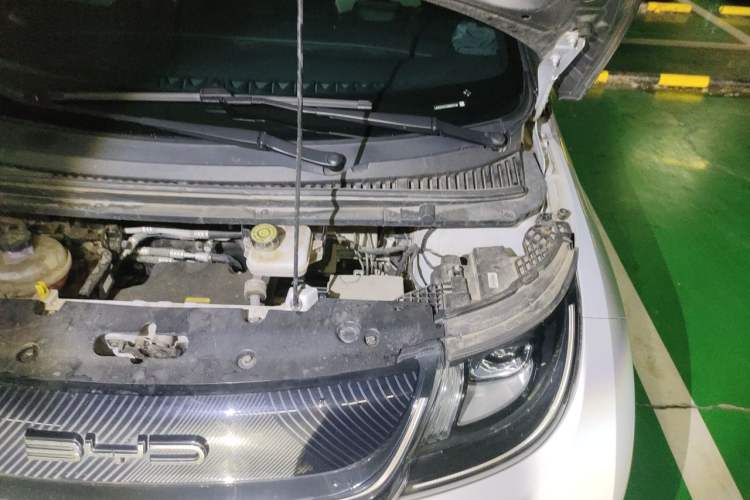 Used BYD Dolphin 2021 405 km Fashion Edition Engine Bay Left