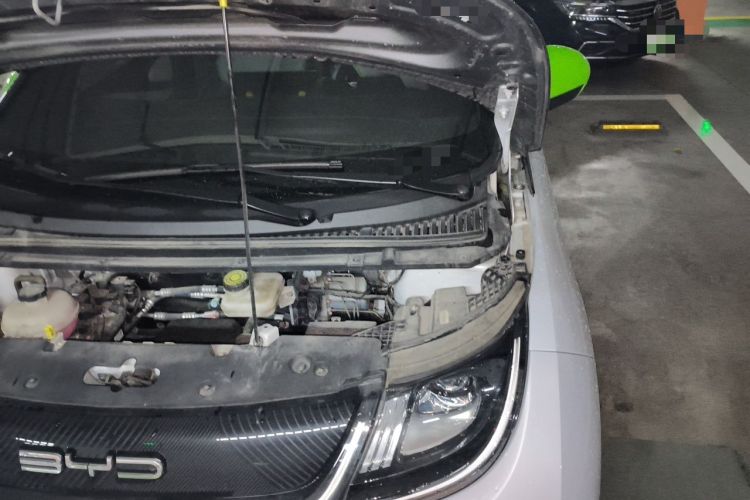 Used BYD Dolphin 2021 405 km Fashion Edition Engine Bay Left