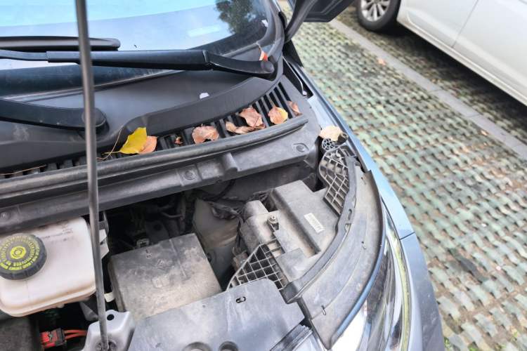 Used BYD Dolphin 2021 405 km Fashion Edition Engine Bay Left