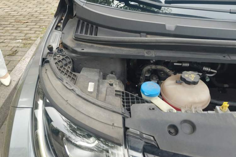 Used BYD Dolphin 2021 405 km Fashion Edition Engine Bay Right