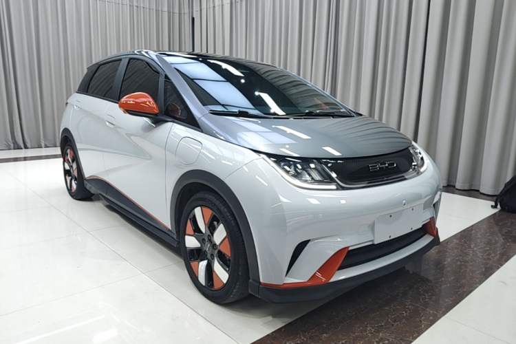 Used BYD Dolphin 2021 401km Knight Edition Exterior 1
