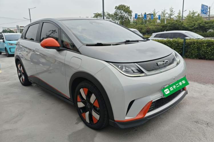 Used BYD Dolphin 2021 401km Knight Edition Exterior 1