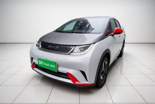 Used BYD Dolphin 2021 405 km Free Version