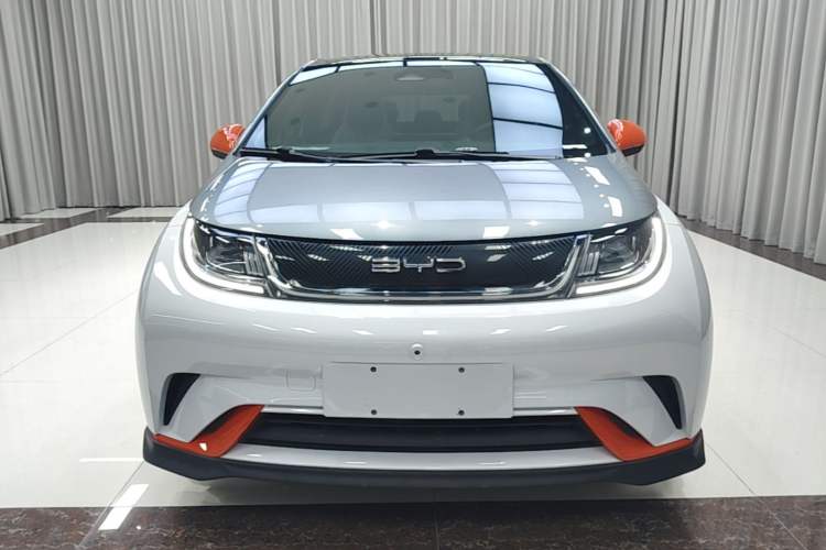 Used BYD Dolphin 2021 401km Knight Edition Front