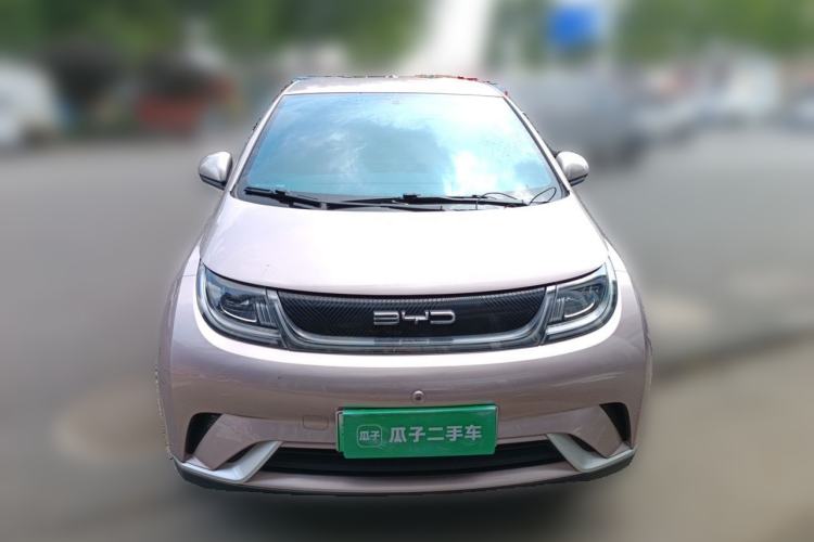 Used BYD Dolphin 2021 405 km Free Version Front