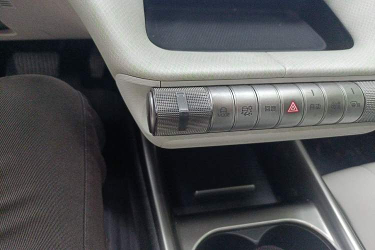 Used BYD Dolphin 2021 405 km Free Version Gear Lever
