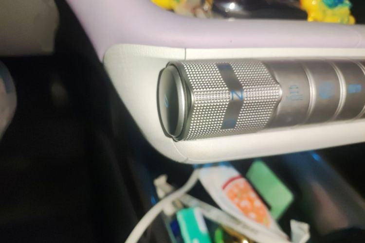 Used BYD Dolphin 2021 405 km Fashion Edition Gear Lever