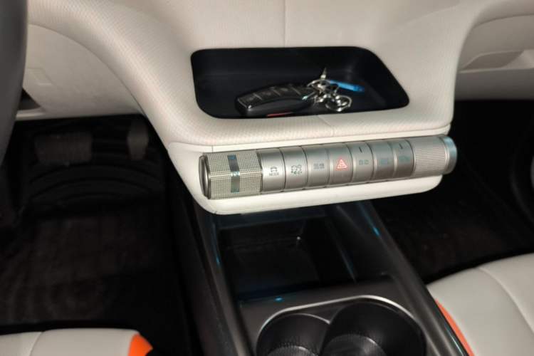 Used BYD Dolphin 2021 405 km Free Version Gear Lever