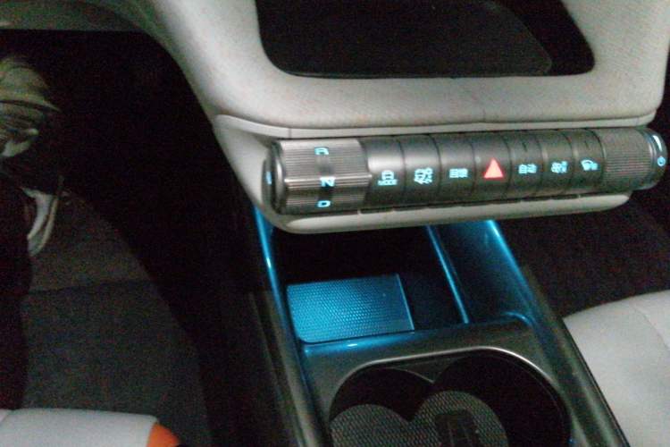 Used BYD Dolphin 2021 405 km Fashion Edition Gear Lever