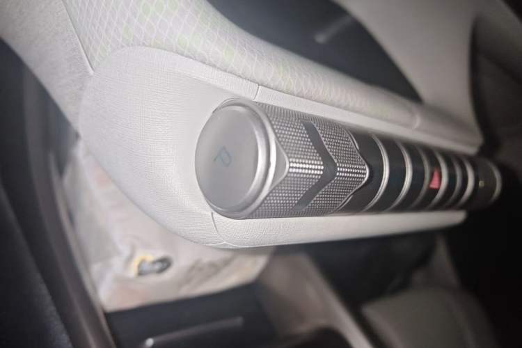 Used BYD Dolphin 2021 405 km Fashion Edition Gear Lever