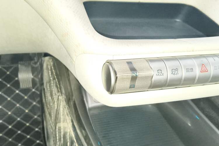 Used BYD Dolphin 2021 405 km Free Version Gear Lever
