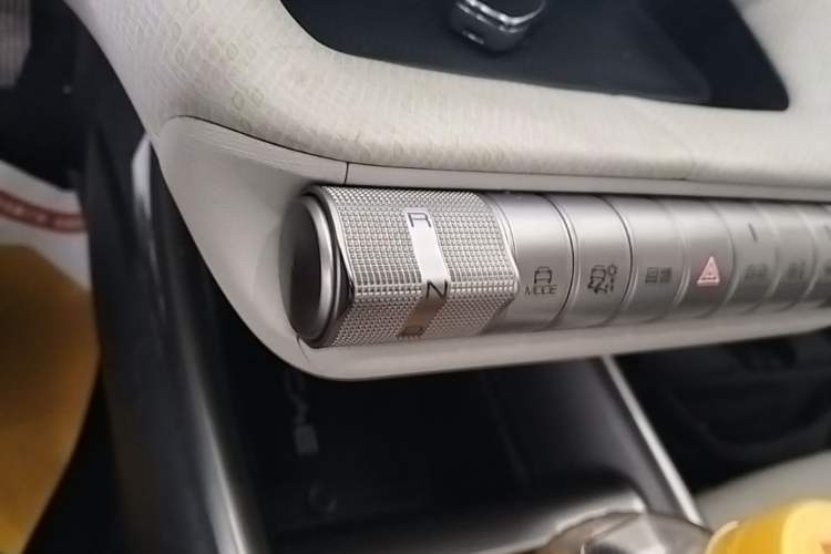 Used BYD Dolphin 2021 405 km Free Version Gear Lever
