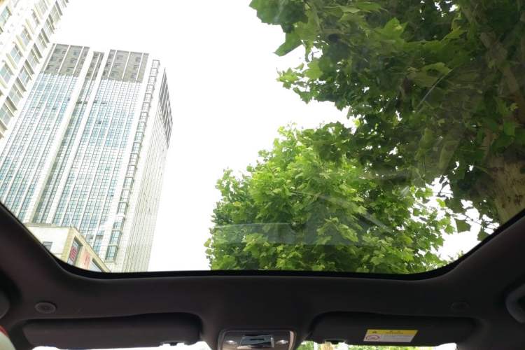 Used BYD Dolphin 2021 405 km Fashion Edition Headliner