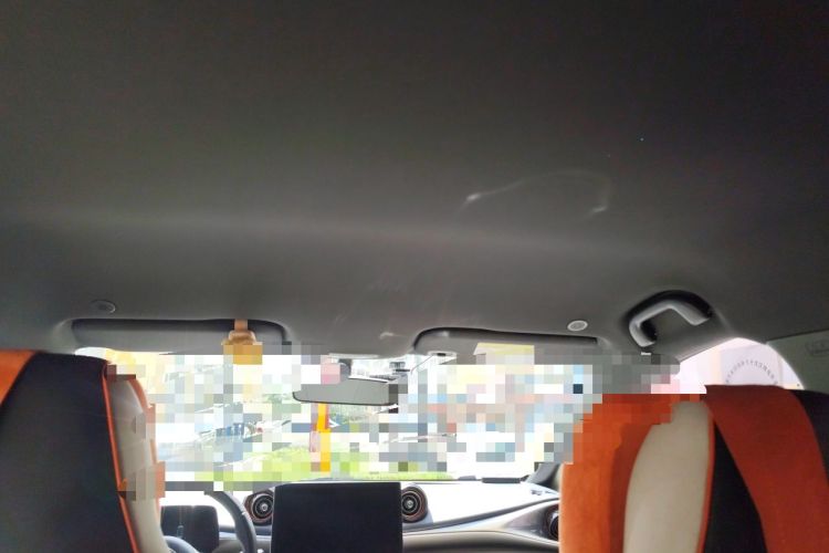 Used BYD Dolphin 2021 405 km Free Version Headliner