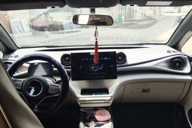 Used BYD Dolphin 2021 405 km Free Version Headliner