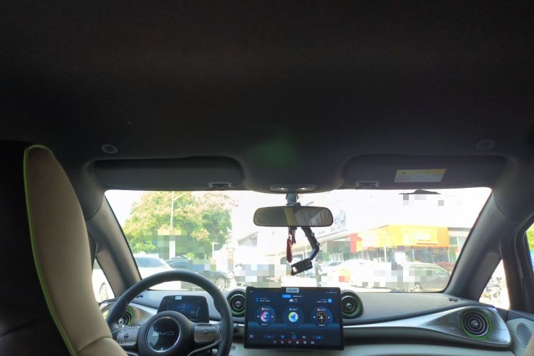 Used BYD Dolphin 2021 405 km Free Version Headliner