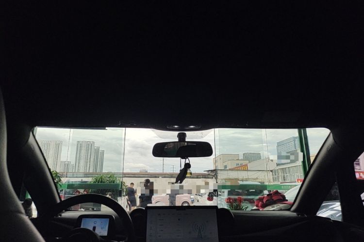 Used BYD Dolphin 2021 405 km Free Version Headliner