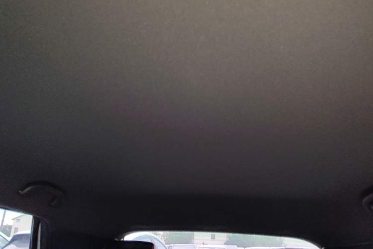 Used BYD Dolphin 2021 405 km Free Version Headliner