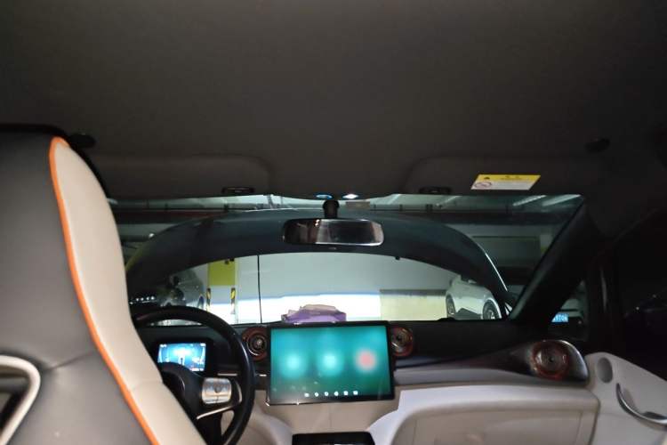 Used BYD Dolphin 2021 405 km Free Version Headliner