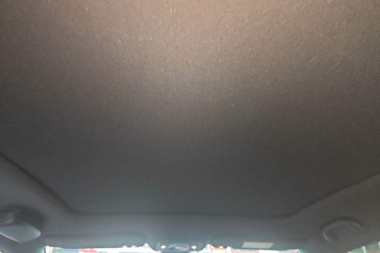 Used BYD Dolphin 2021 405 km Fashion Edition Headliner