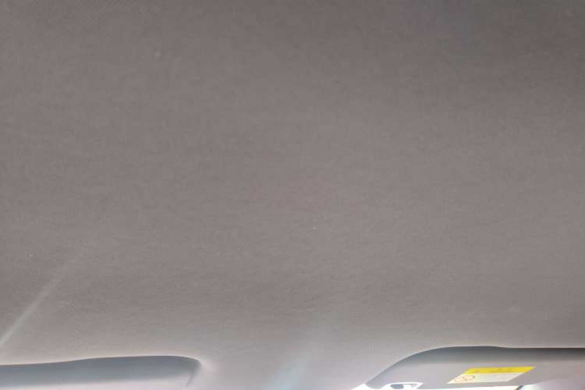 Used BYD Dolphin 2021 405 km Free Version Headliner
