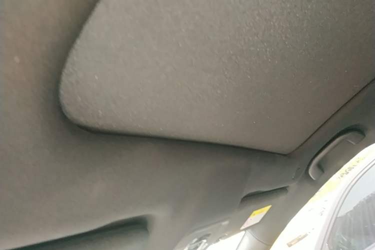 Used BYD Dolphin 2021 405 km Fashion Edition Headliner