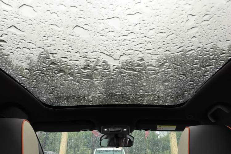 Used BYD Dolphin 2021 401km Knight Edition Headliner