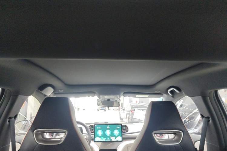 Used BYD Dolphin 2021 401km Knight Edition Headliner