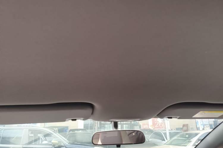 Used BYD Dolphin 2021 405 km Free Version Headliner