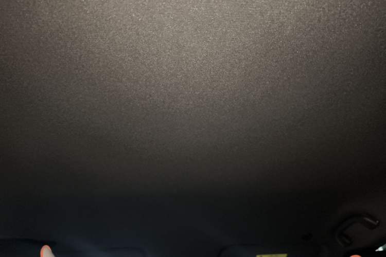 Used BYD Dolphin 2021 405 km Free Version Headliner