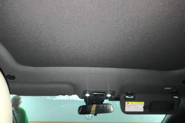 Used BYD Dolphin 2021 405 km Fashion Edition Headliner