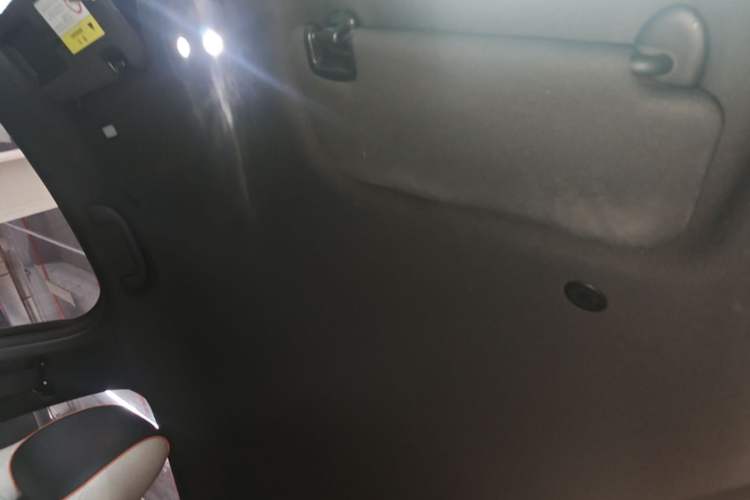 Used BYD Dolphin 2021 405 km Free Version Headliner