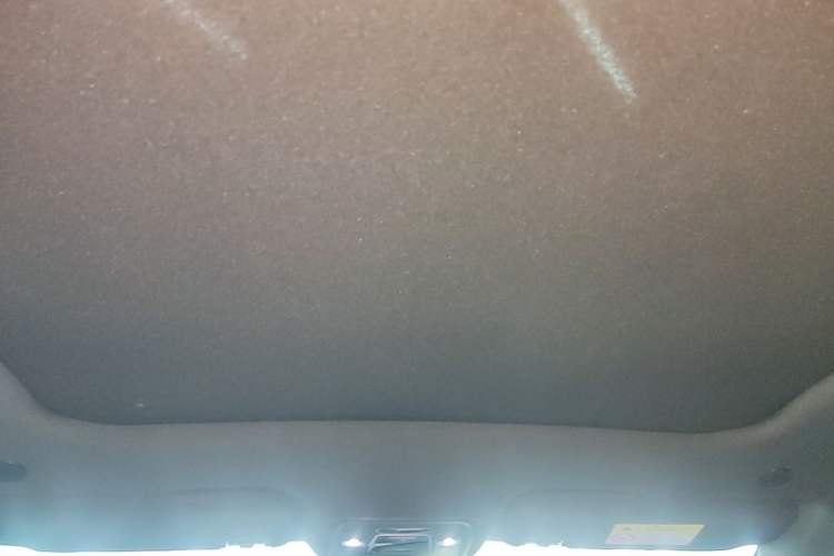 Used BYD Dolphin 2021 405 km Fashion Edition Headliner