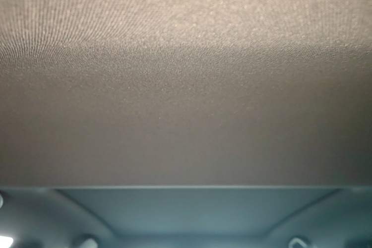 Used BYD Dolphin 2021 405 km Fashion Edition Headliner