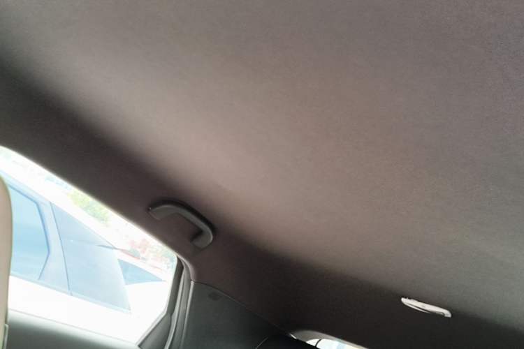 Used BYD Dolphin 2021 405 km Free Version Headliner