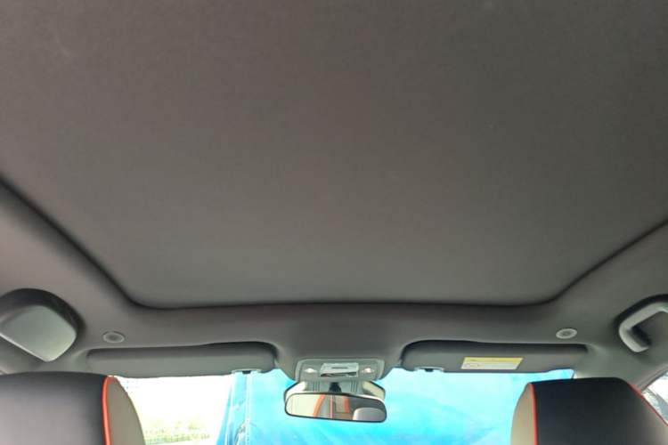 Used BYD Dolphin 2021 401km Knight Edition Headliner
