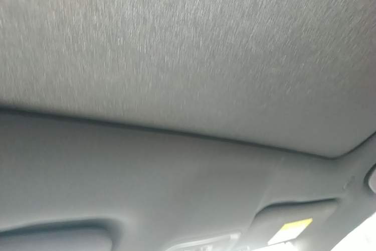 Used BYD Dolphin 2021 405 km Fashion Edition Headliner