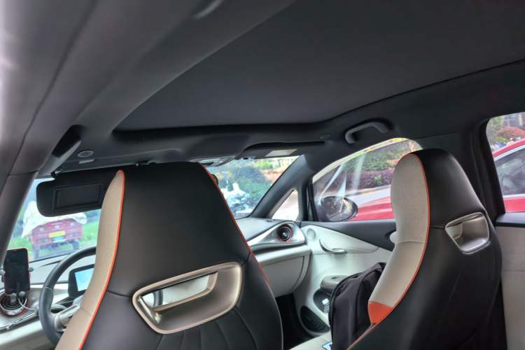 Used BYD Dolphin 2021 405 km Fashion Edition Headliner