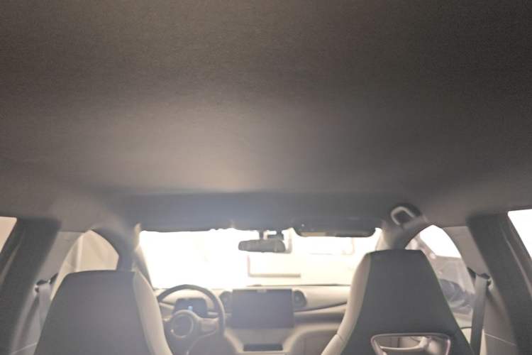 Used BYD Dolphin 2021 405 km Fashion Edition Headliner